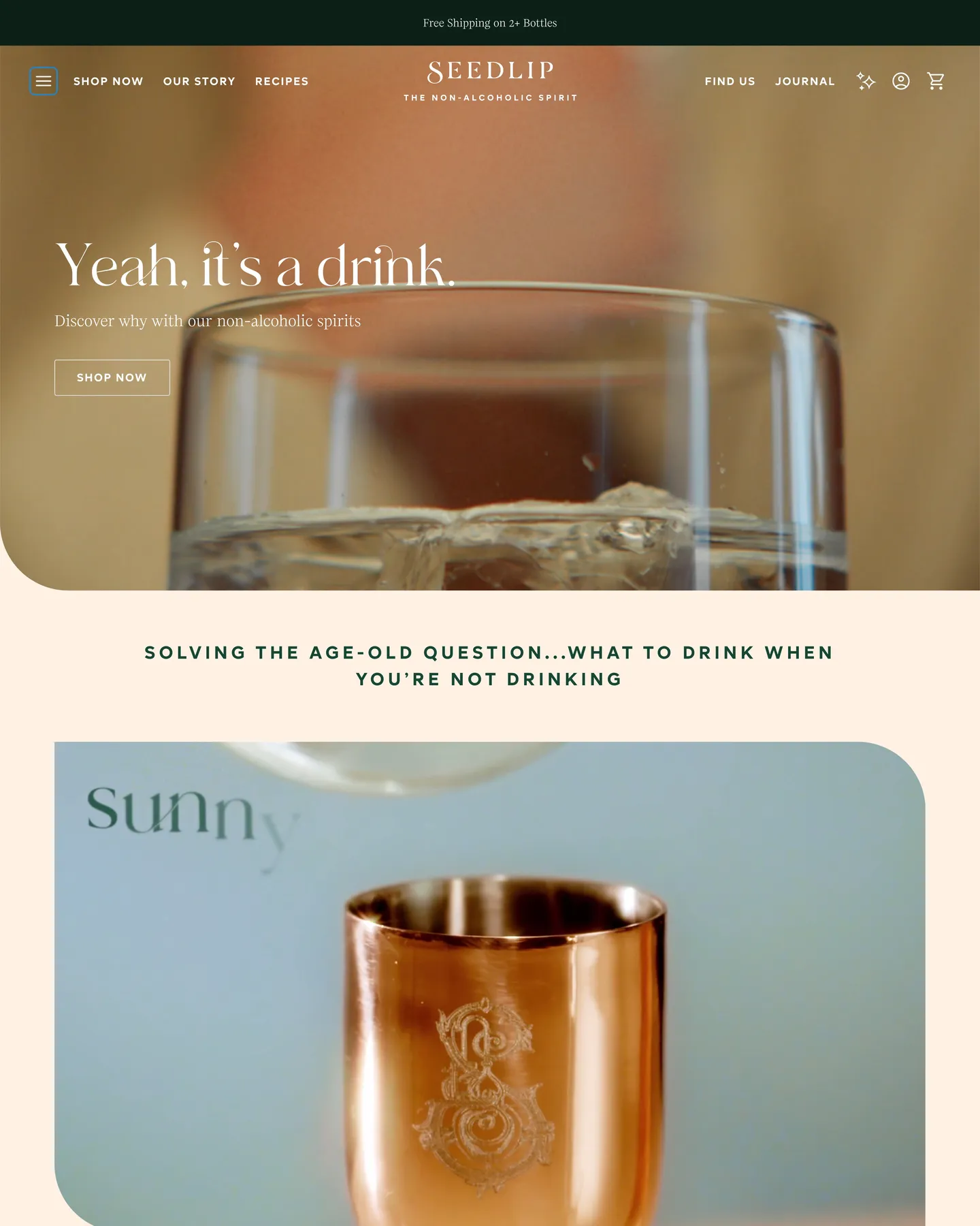 Seedlip homepage design, captured August 2026