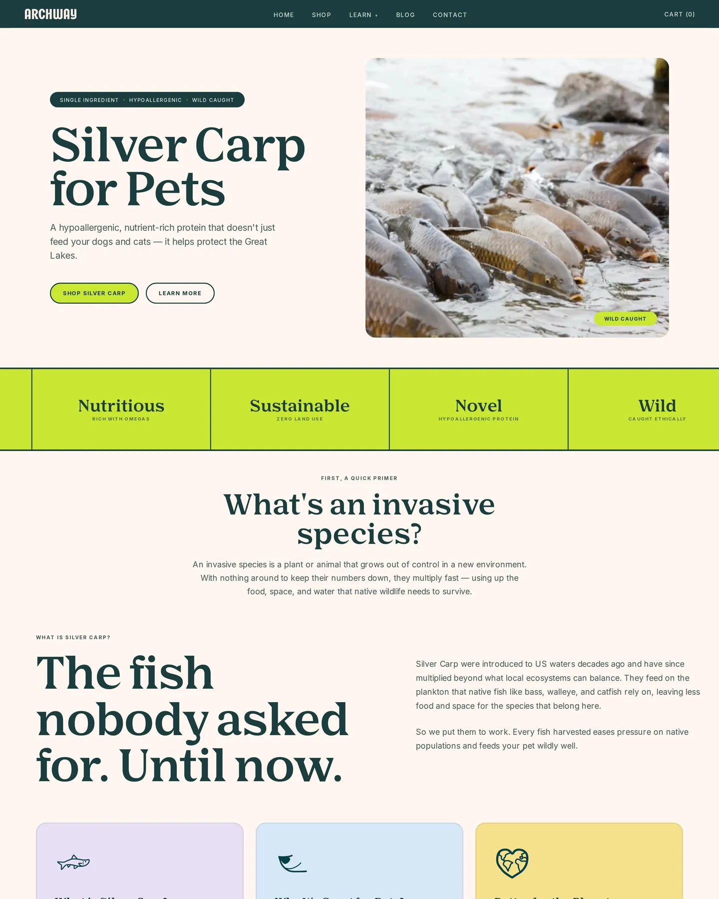 Archway Pet Meet Silver Carp design, captured September 2026