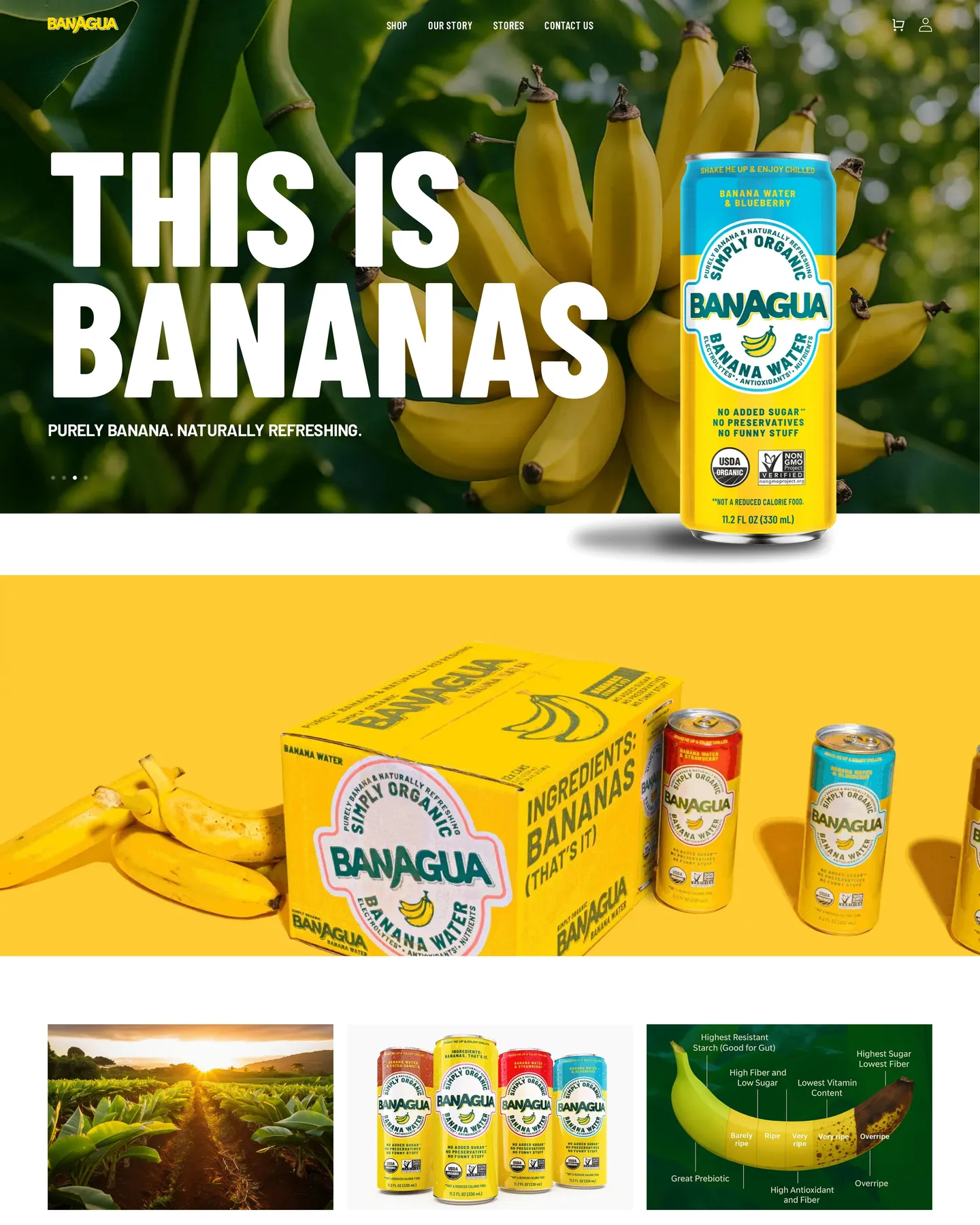 Banagua homepage design, captured September 2026